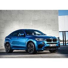 BMW X6M F86 2015-2019